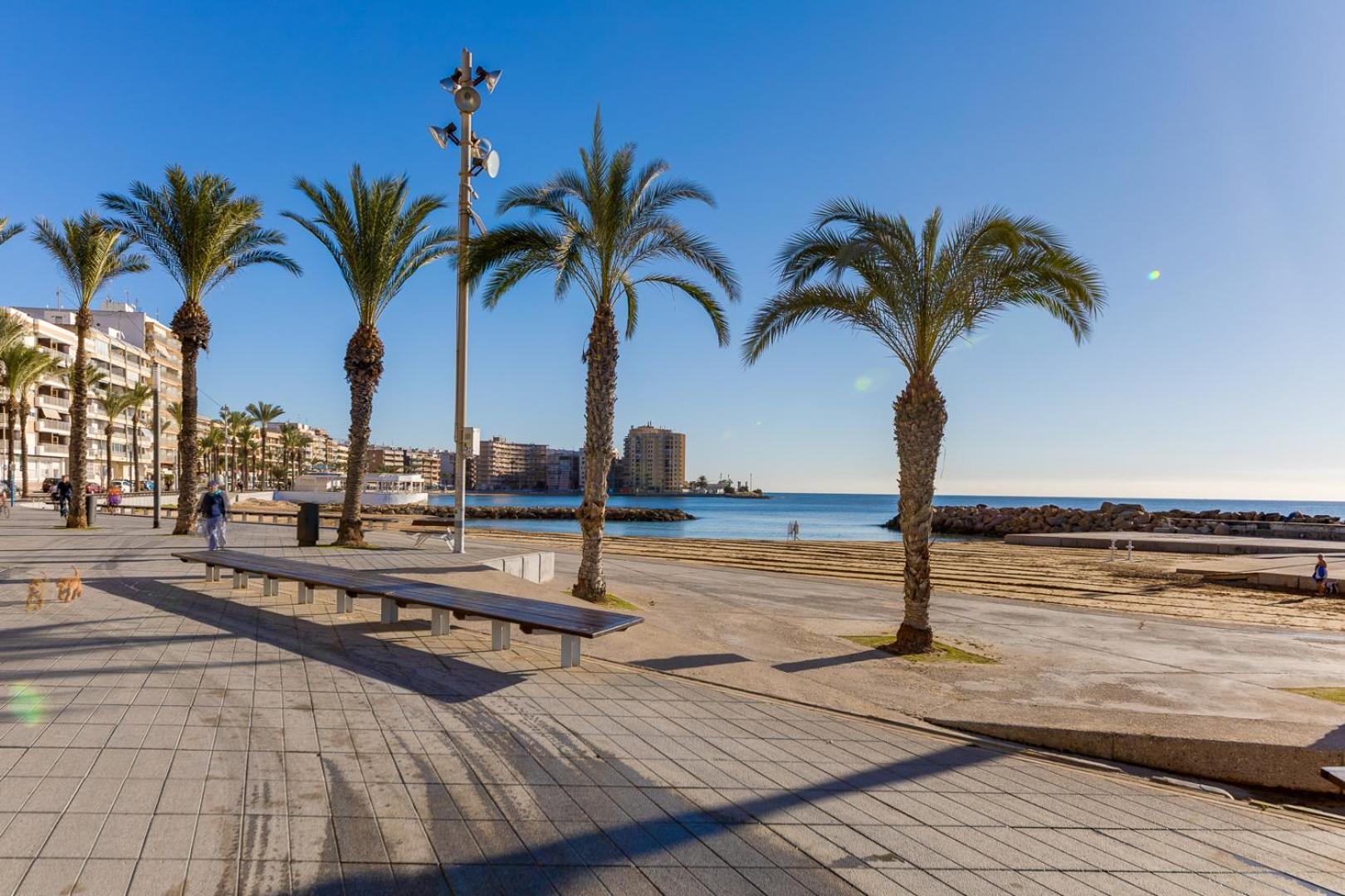 Concordia Beachside Apartment: Near Del Cura & Central Station Torrevieja Exterior photo