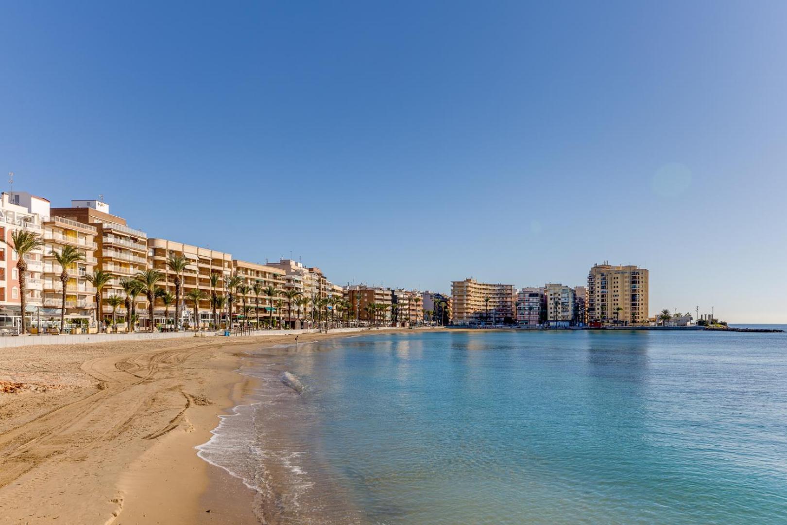 Concordia Beachside Apartment: Near Del Cura & Central Station Torrevieja Exterior photo