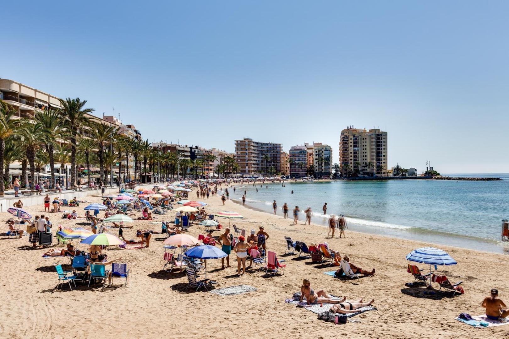 Concordia Beachside Apartment: Near Del Cura & Central Station Torrevieja Exterior photo